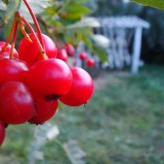 Гостевой дом Серебряное копытце, Пермь, Пермский край