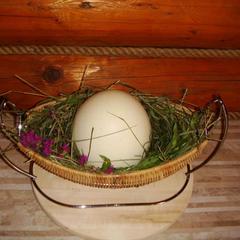 Гостевой дом Серебряное копытце, Пермь, Пермский край