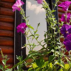 Гостевой дом Серебряное копытце, Пермь, Пермский край