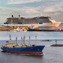 Гостевой дом Кувшиново Сити, Петергоф, Ленинградская область