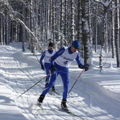 База отдыха Связист, Петровское, Ярославская область