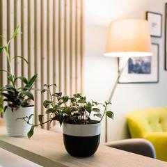 Отель Саквояж, Петрозаводск, Республика Карелия