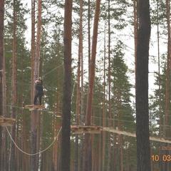 База отдыха Связист, Петровское, Ярославская область