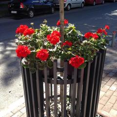 Отель Саквояж, Петрозаводск, Республика Карелия