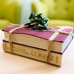 Отель Саквояж, Петрозаводск, Республика Карелия