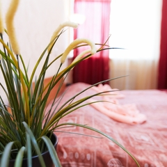 Гостиница Руна, Петрозаводск, Республика Карелия