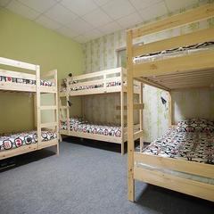 Хостел Pandaminium, Петрозаводск, Республика Карелия