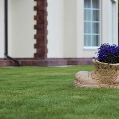 Гостевой дом Солнечный, Петрозаводск, Республика Карелия