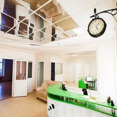 Хостел Pandaminium, Петрозаводск, Республика Карелия