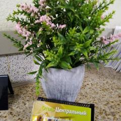 Отель Центральный, Петрозаводск, Республика Карелия