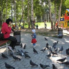 Отель Березовая роща, Петрозаводск, Республика Карелия