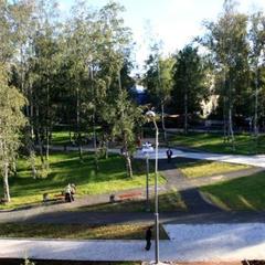 Отель Березовая роща, Петрозаводск, Республика Карелия