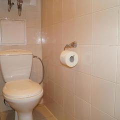 Отель Березовая роща, Петрозаводск, Республика Карелия