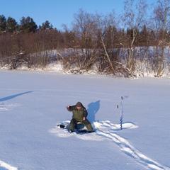 Курорт Ялгуба-2, Прионежский район, Республика Карелия