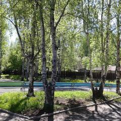 Кемпинг Nord Camping, Петрозаводск, Республика Карелия