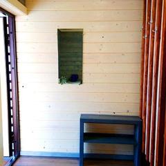 Кемпинг Nord Camping, Петрозаводск, Республика Карелия