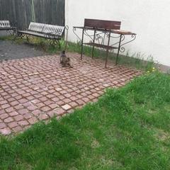 Гостевой дом Вернисаж, Петрозаводск, Республика Карелия