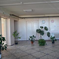 Хостел Платинум, Петрозаводск, Республика Карелия