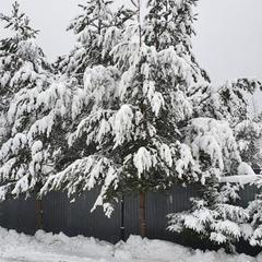 Гостевой дом Вернисаж, Петрозаводск, Республика Карелия