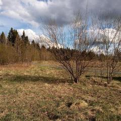 Отель Корал, Петрозаводск, Республика Карелия