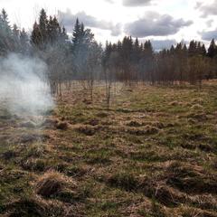Отель Корал, Петрозаводск, Республика Карелия