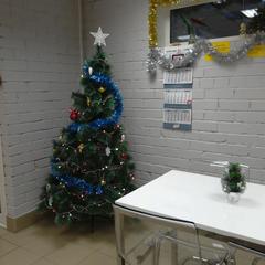 Мини-гостиница Чайка, Петрозаводск, Республика Карелия