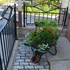 Мини-гостиница Чайка, Петрозаводск, Республика Карелия