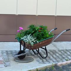 Мини-гостиница Чайка, Петрозаводск, Республика Карелия