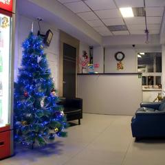 Мини-гостиница Чайка, Петрозаводск, Республика Карелия