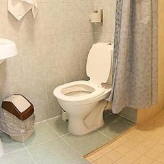 Мини-гостиница Чайка, Петрозаводск, Республика Карелия