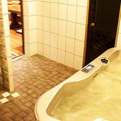 Мини-гостиница Чайка, Петрозаводск, Республика Карелия