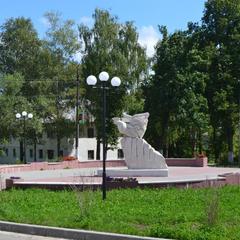 Гостиница Визит, Петушки, Владимирская область