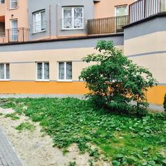 Гостиница Круиз, Пионерский, Калининградская область