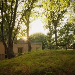 Гостиница Круиз, Пионерский, Калининградская область