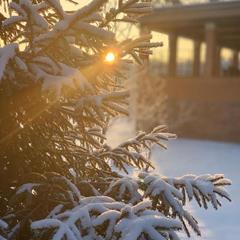 База отдыха Пирос, Пирусс, Новгородская область