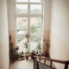 Гостиница Круиз, Пионерский, Калининградская область