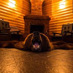 Отель Медведов, Плесецк, Архангельская область