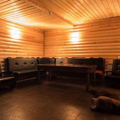 Отель Медведов, Плесецк, Архангельская область