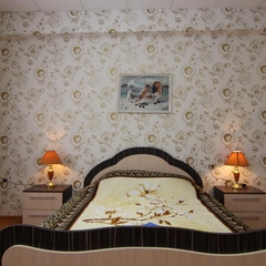 Гостиница Плесецкая, Плесецк, Архангельская область