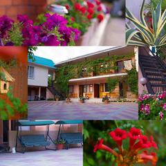 Гостевой дом Рафаэль, Пляхо, Краснодарский край