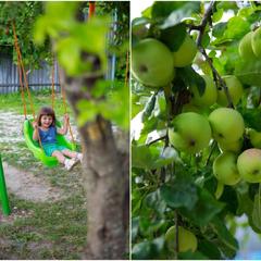 Гостевой дом Рафаэль, Пляхо, Краснодарский край