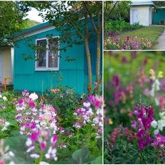 Гостевой дом Рафаэль, Пляхо, Краснодарский край