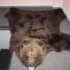 Отель Медведов, Плесецк, Архангельская область