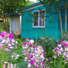 Гостевой дом Рафаэль, Пляхо, Краснодарский край