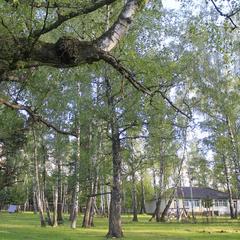 База отдыха Окская, Подмоклово, Московская область