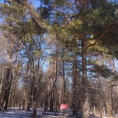 База отдыха Окская, Подмоклово, Московская область