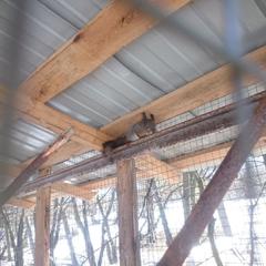 База отдыха Окская, Подмоклово, Московская область