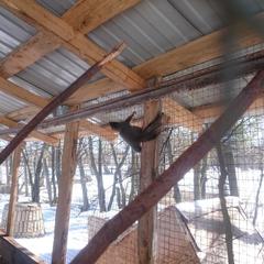 База отдыха Окская, Подмоклово, Московская область