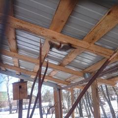 База отдыха Окская, Подмоклово, Московская область