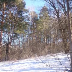 База отдыха Окская, Подмоклово, Московская область